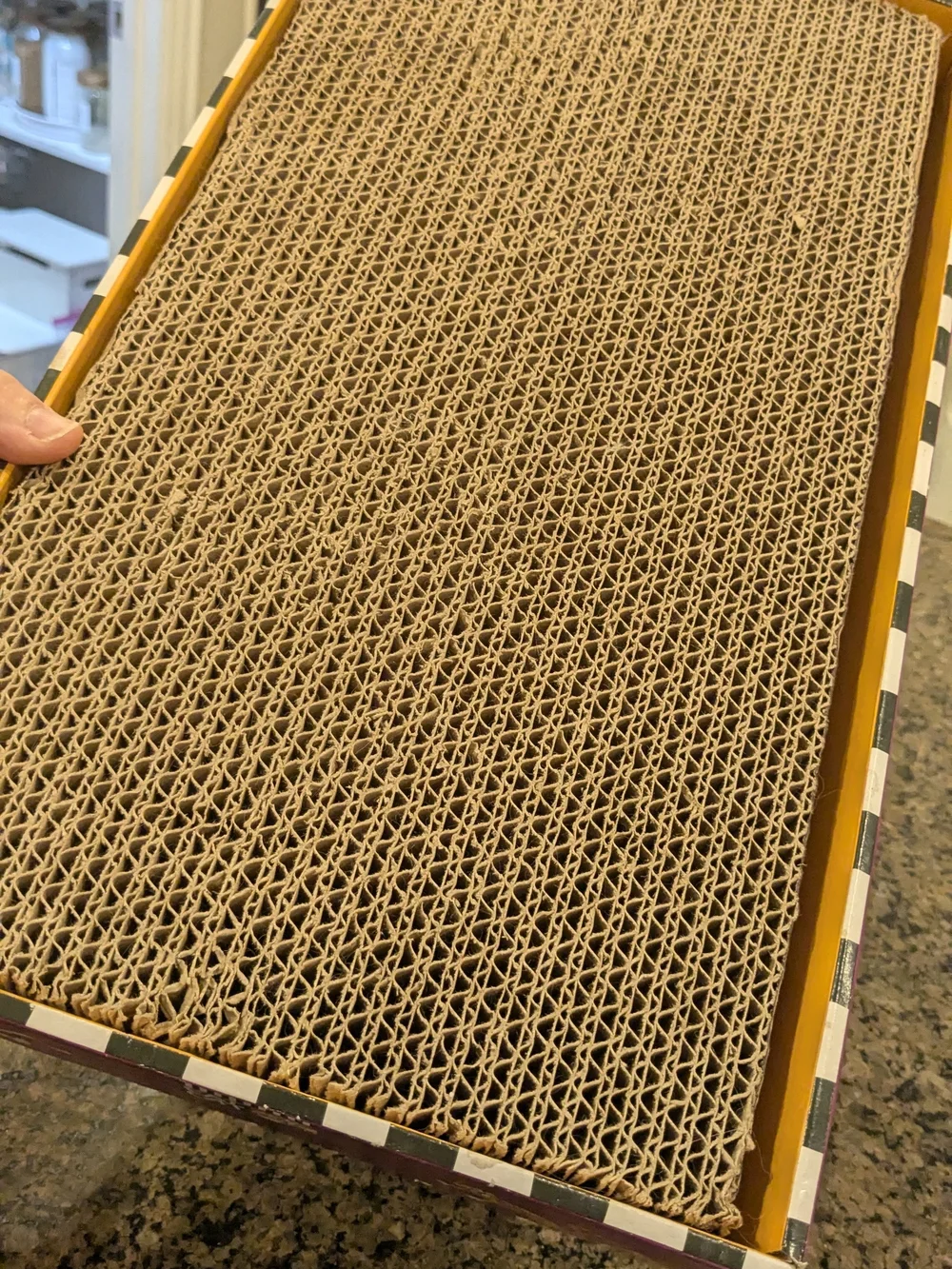 Cat Scratche4